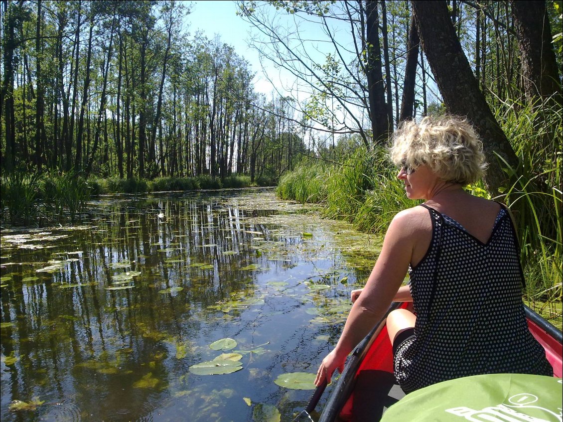 Couverture de raid canoë  sur la Krutynia  (Masurie  Pologne)