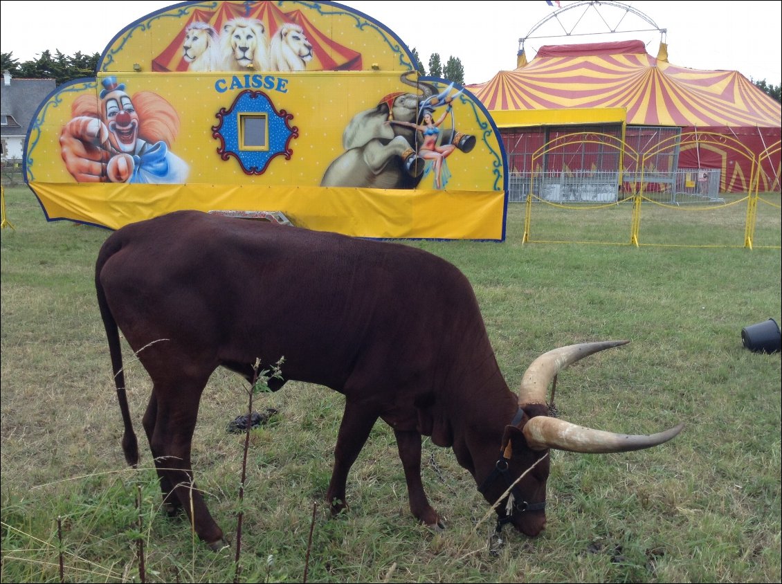 Curieusement, nous retrouverons ce cirque plusieurs fois sur notre parcours :-)) 