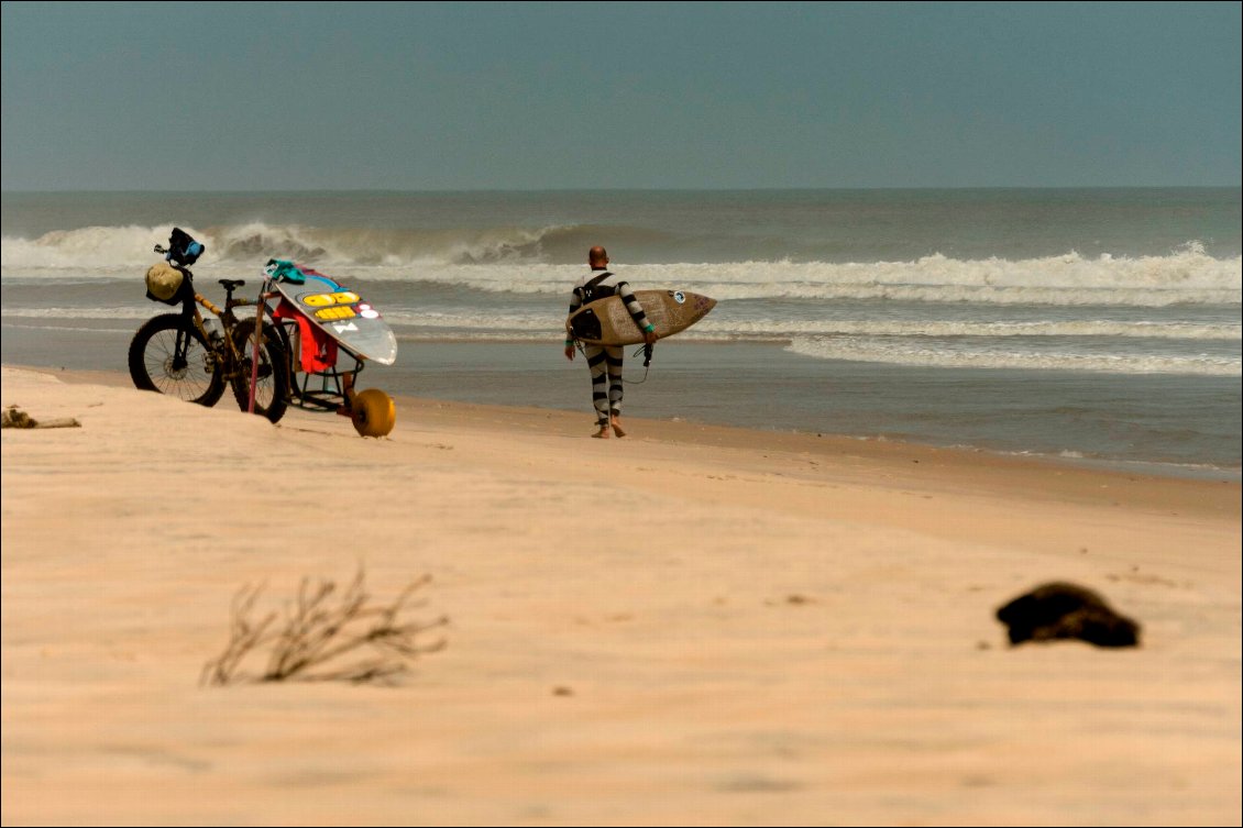 Lost in the swell : à la recherche des vagues sauvages du Gabon.
Le courant est tellement puissant qu’il nous faut remonter à pied pour accéder aux vagues.
Photo : Ronan Gladu