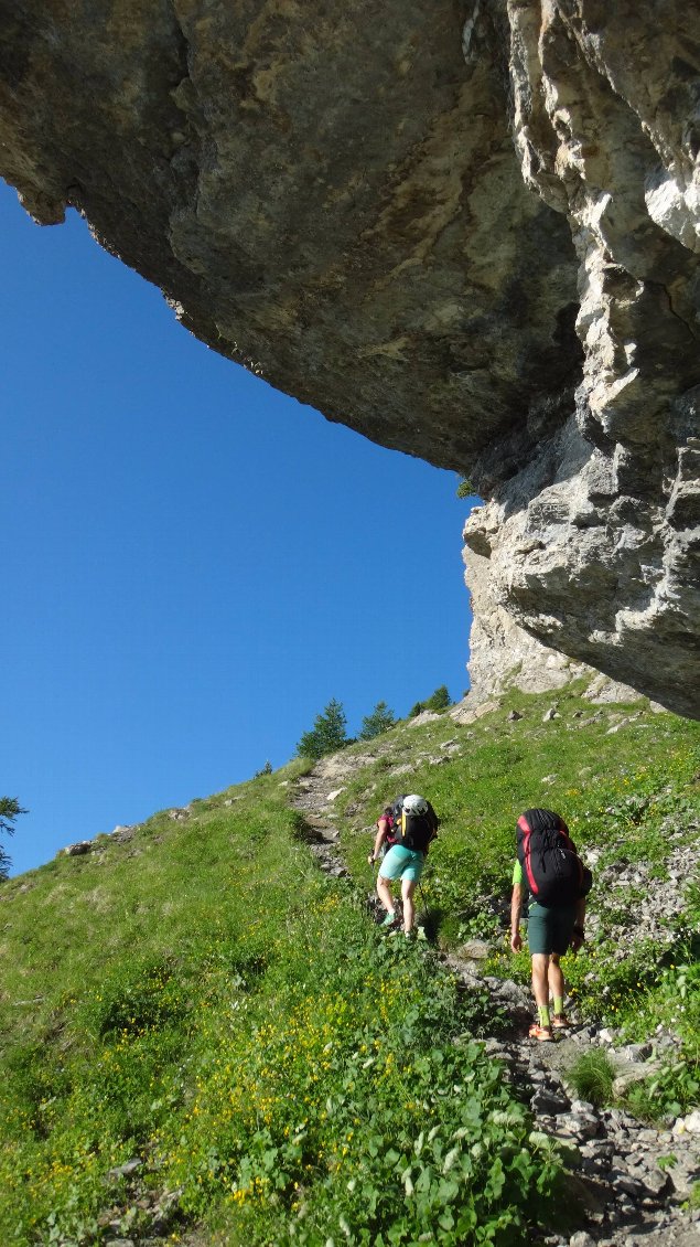 On sort de la forêt pour arriver sous les falaises