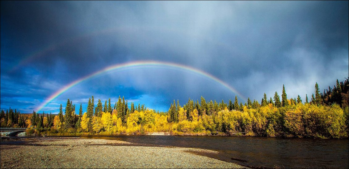 Automne au bord de la riviere Chena, Alaska
Photo [url=http://arctic-mood.com/]Julien Schroder[/url]. Voir aussi sa  [url=https://www.facebook.com/arctic.mood.photo/]page FB[/url]