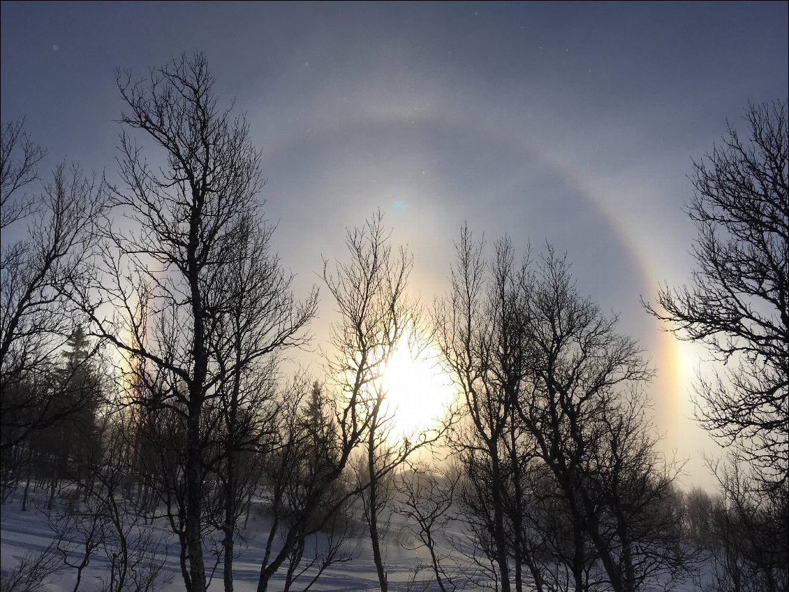 Photo d’un halo autour du soleil, un phénomène différent des arcs-en-ciel, gloires et spectres de Broken.
Photo prise en Suède lors d'une balade, Rémi Vallin.
