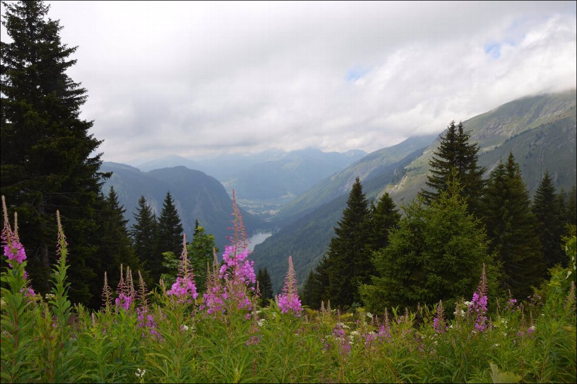 Au col de Bassachaux