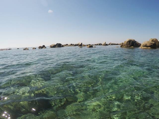 Entre la Cala di Furnellu et l'Anse d'Arbitru