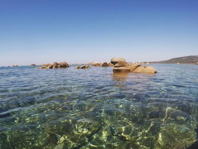 Entre la Cala di Furnellu et l'Anse d'Arbitru