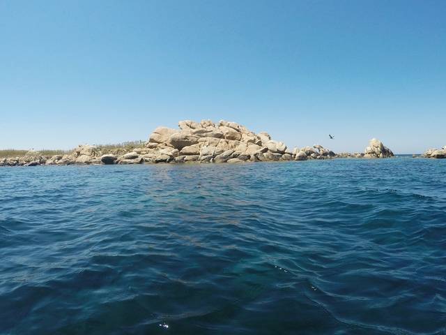 Iles Bruzzi