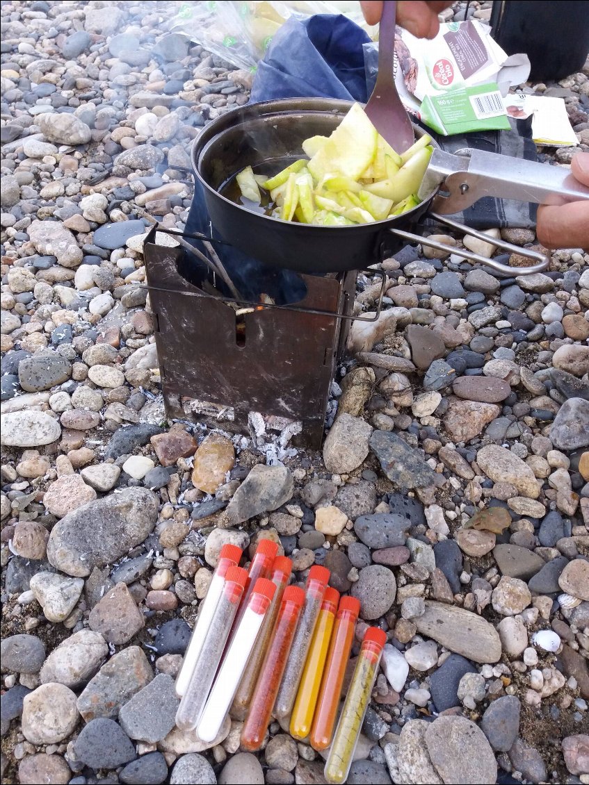 Un réel bonheur ce réchaud à bois. Il nous permet de cuisiner des légumes aux épices variées sans jamais se soucier du niveau de carburant restant.