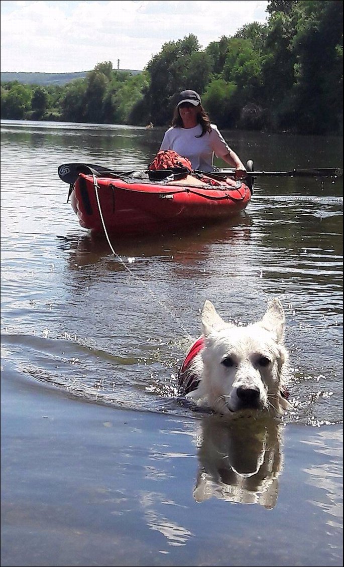 Joon teste l'attelage en kayak... pour une fois c'est lui qui bosse !