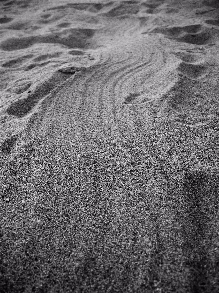 De nombreuses traces sur le sable nous intrigue. Serait-ce la queue d'un castor ?
