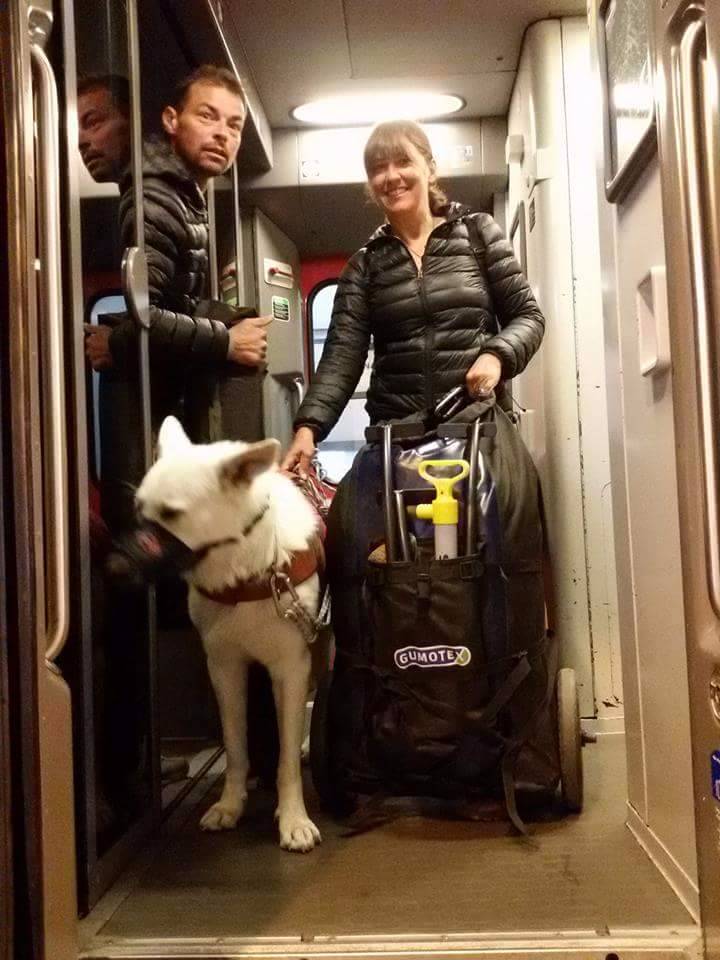 La loi oblige que les grands chiens soient muselés dans le train et il doit payer une 1/2 place. Joon accepte sans trop râler.