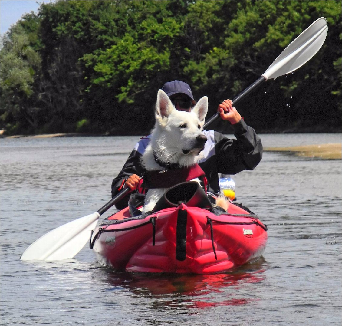 Couverture de L Allier et la Loire en kayak gonflable avec un chien