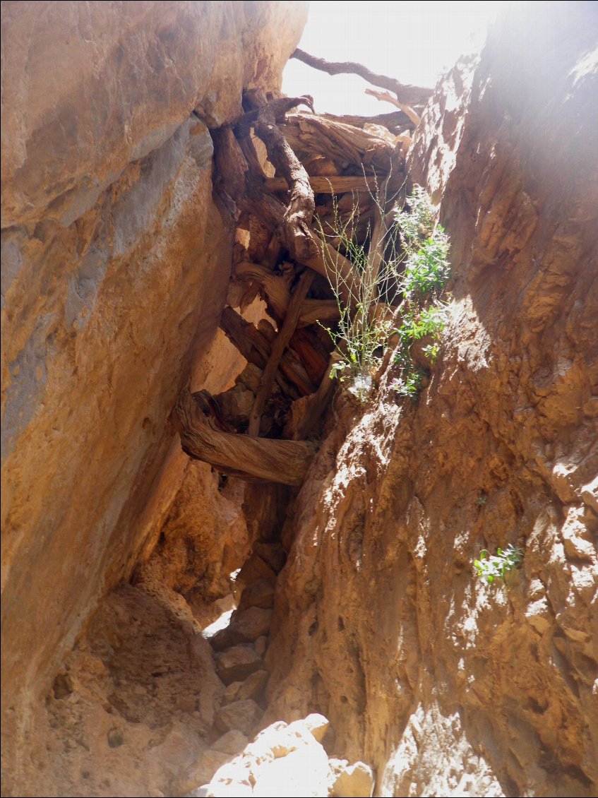 le passage du tire bouchon