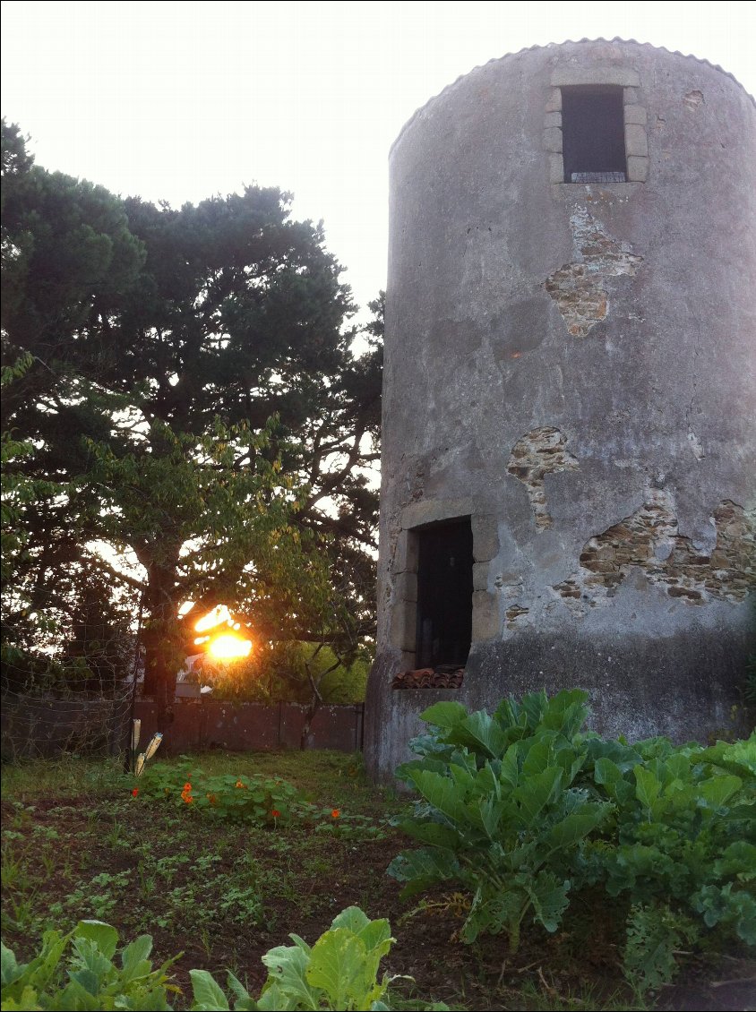 Soleil couchant au creux d'un moulin abandonné, heureusement que le jardin ne l'est pas, ses fleurs étaient flamboyantes!
Et plusieurs scènes me touchent le coeur, des passants qui disent bonjour, une maman qui sourit à son bébé...