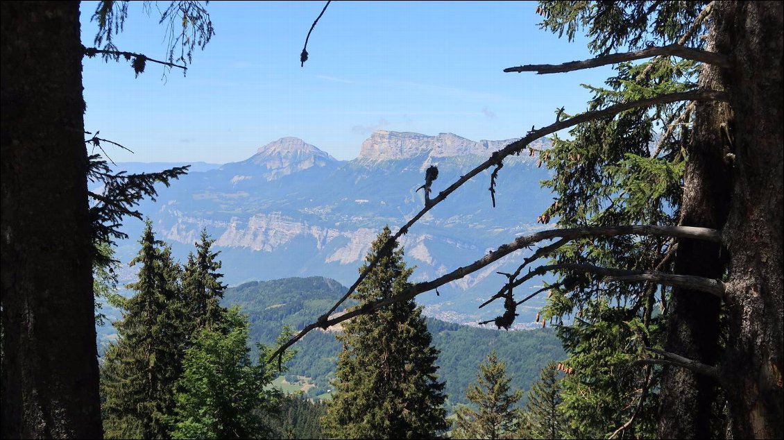 J3 la vue côté Grésivaudan