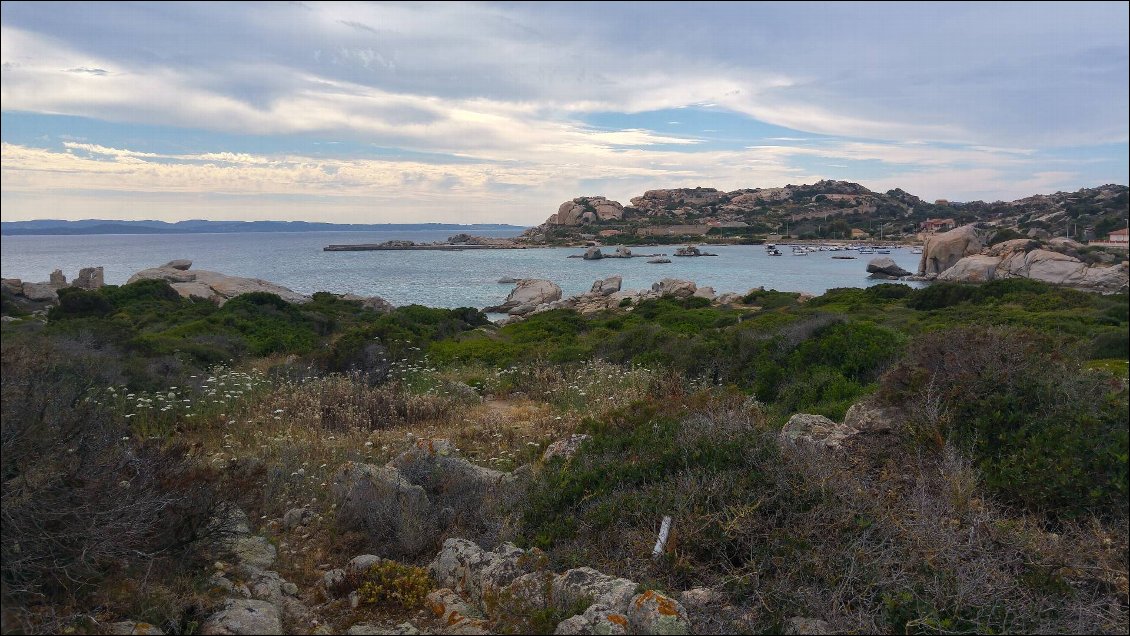 SARDAIGNE / MADDALENA / CAPRE..