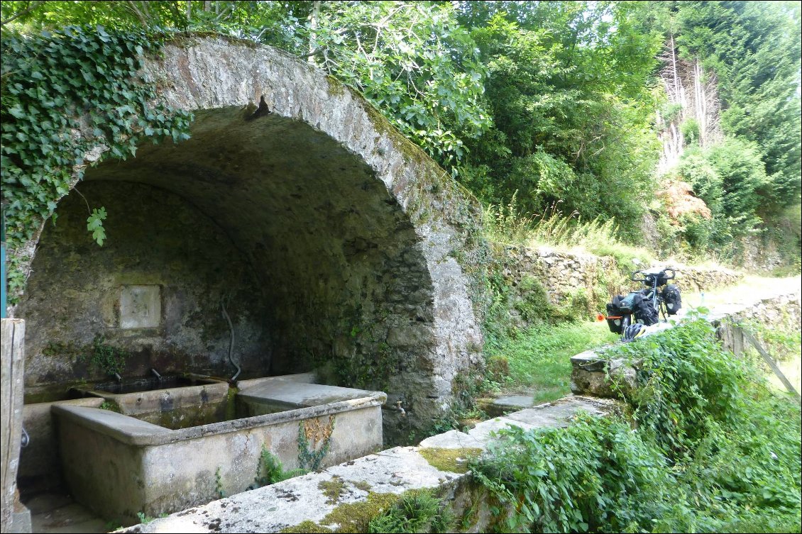 Coin de fraicheur très apprécié ce lavoir à Albine !