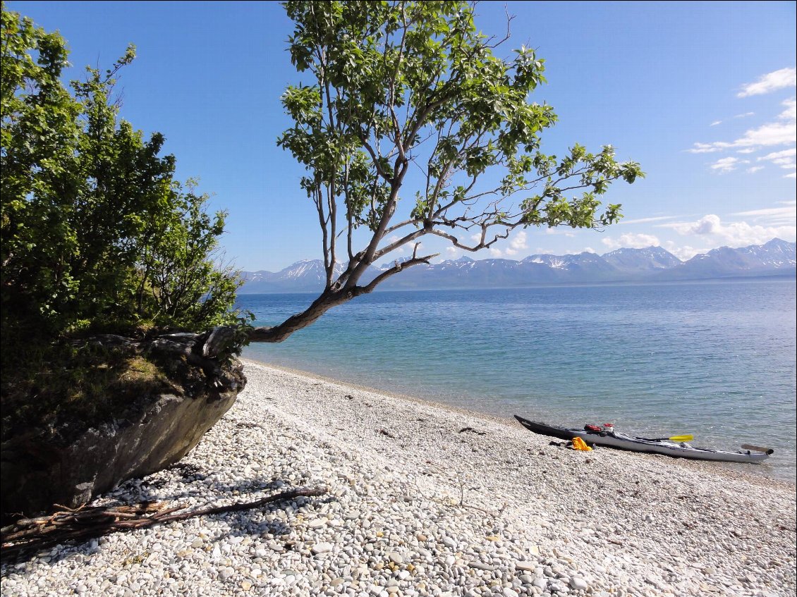 On se croirait en Croatie, certaines sections de côte réservent des surprises.
Sud-est de Reinøya, vue sur les Alpes de Lyngen.