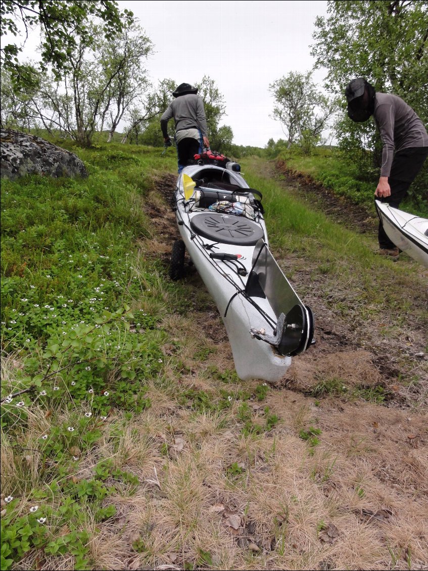 Chariotage pour atteindre le lac Skogsfjordvatnet.