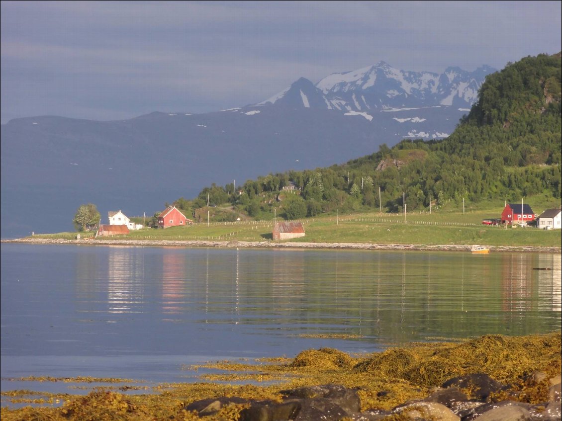 Petites maisons typiques sur l'ile de Reinøya.