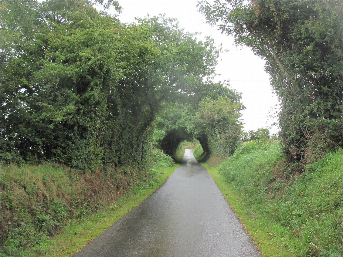 Là, je crois qu'on arrive chez les Hobbits...