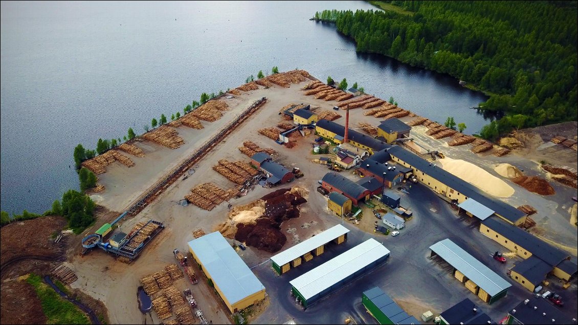 A tel point que certaines forets sont difficilement récupérables : En raison du climat, les forets au nord poussent beaucoup moins vite que celles du sud