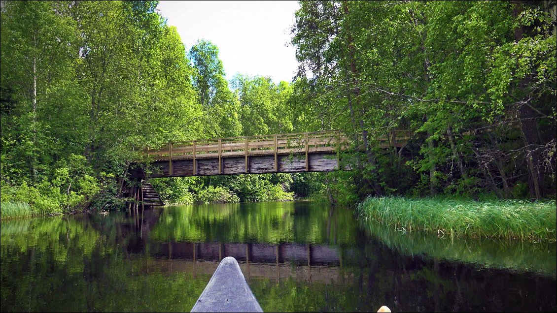 Les rivières sont peu propices à la discussion, à chaque virage l'environnement change et l'esprit laisse défiler le paysage, qui nous maintiens attentifs.