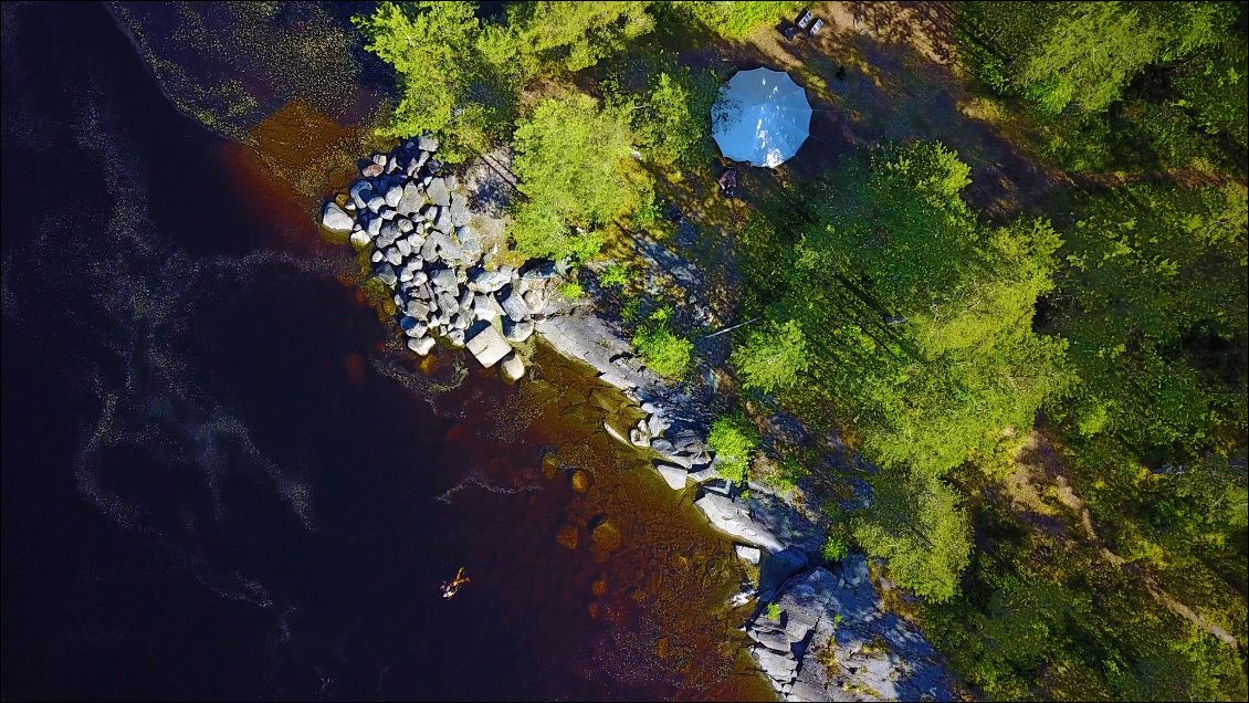 Ma crevette d'eau douce !