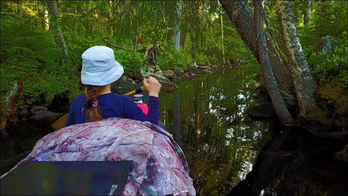 Nous avons complètement oublié le lac Orivesi parcouru ce matin et nous avons le sentiment d’êtres dans une jungle.