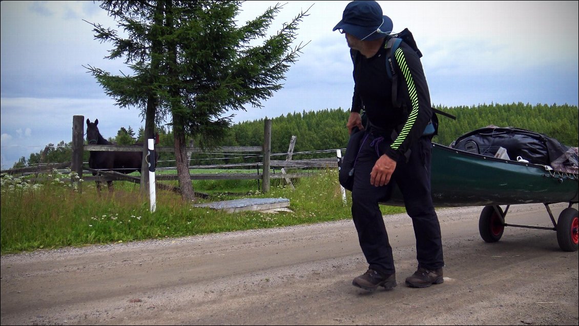 Alors nous faisons "meuuUUuuh" aux vaches et nous hennissons si bien que les chevaux nous répondent !