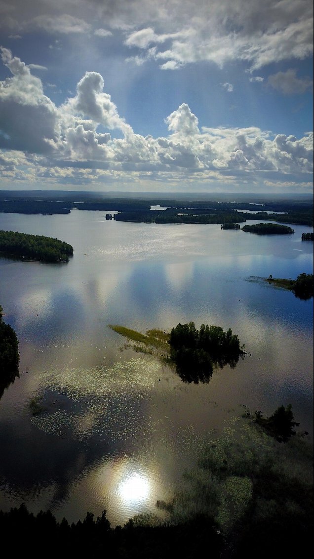 j'ordonne le retour automatique mais rien ne s’enclenche, je coupe l'enregistrement d'image pour économiser du carburant et avec la camera braqué au sol, j'arrive par à-coups à ramener le drone au dessus d'une zone herbeuse, 1 minute après le drone se posait d'office à 0% de batterie. Nous le retrouverons après 10 minutes de marche dans un endroit où nous fumes précédés par 4 hérons, curieux de venir inspecter l'engin qui venait de se poser.