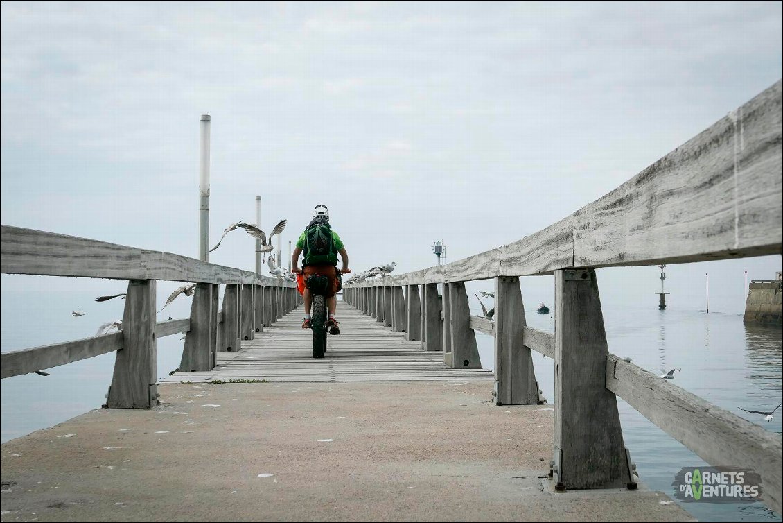 Goélands vs fatbike.