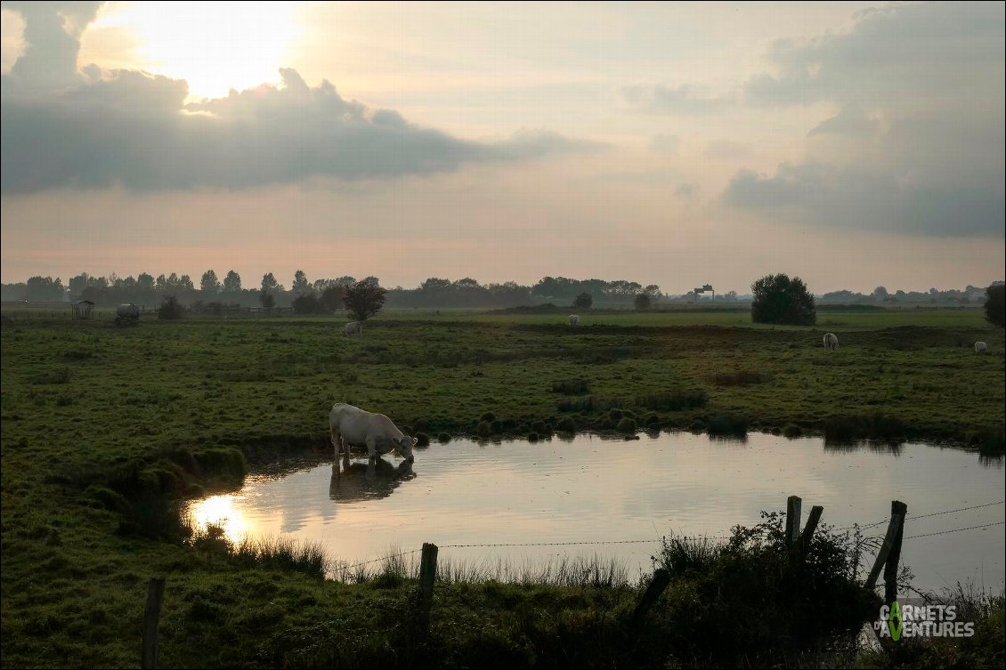 Dans les terres, l'ambiance est rurale.