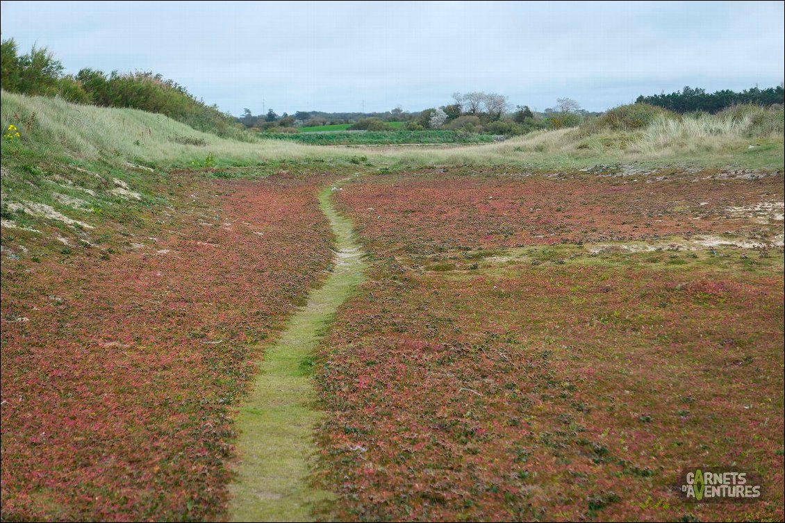 Négatif de chemin ?