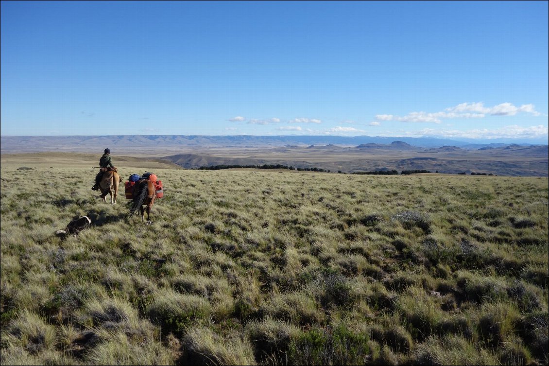 Chevauchée sur le plateau venteux d’Aldea Beleiro, au coeur de l’Argentine.
Grande cavale dans les Andes.
Photo : Charlotte Simsar, Charlotte Vandeputte et Capucine Lelievre