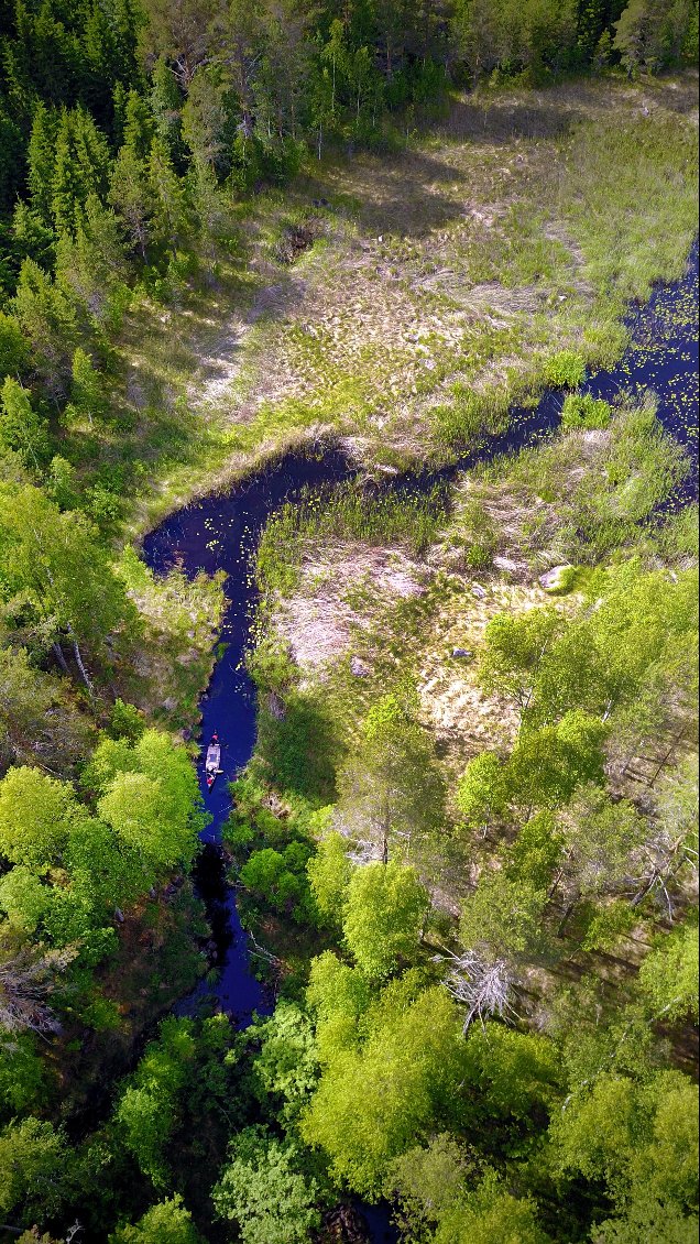 Nous utilisons le drone pour tenter de prendre une décision mais les arbres ne nous laissent pas entrevoir la vérité du parcours qui nous attends, alors autant prendre le temps de faire des images !