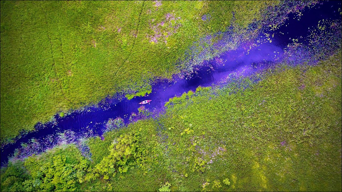 On distingue bien les traces des animaux qui passent par là !