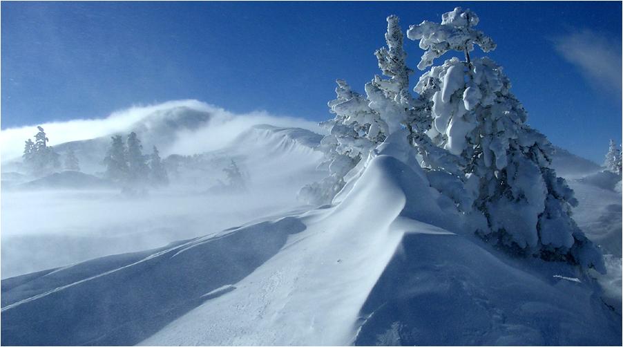 Rando dans le Donezan où les effets du vent sont visibles sur la neige et les pins. Les Pyrénées est (Capcir, Donezan, Madres, Puigmal-Canigou...) sont le pays du vent, qui peut compliquer des randonnées faciles. A l'endroit où ces photos ont été prises, on a relevé 200 km/h lors de la tempête Klaus (ce jour de décembre 2004, on avait déjà plus de 110, attestés par mon anémomètre).
Photo : Bernard Usé