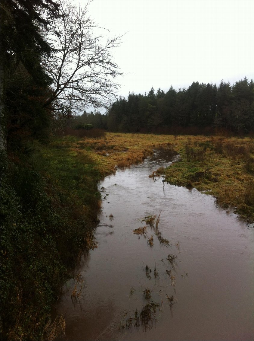 La rivière de Pont Calleck, ou le Dourduff, au niveau de l'ancien étang vidangé par erreur, et resté tel quel, car il parait que comme ça les saumons le remontent mieux? Mince, je comprends pas tout! Je n'ai pas toutes les infos sur le sujet, si vous en savez plus, je suis preneuse!!