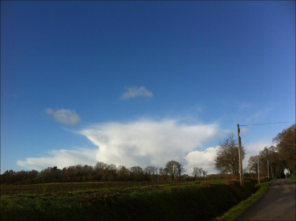 Un cumulonimbus dans toute sa beauté: forme d'enclume parfaite! Et quand il passe au loin, comme ça, il est encore plus parfait!! Dessous, c'est tout gris, pluvieux, venteux, grêleux, voire foudroyeux...