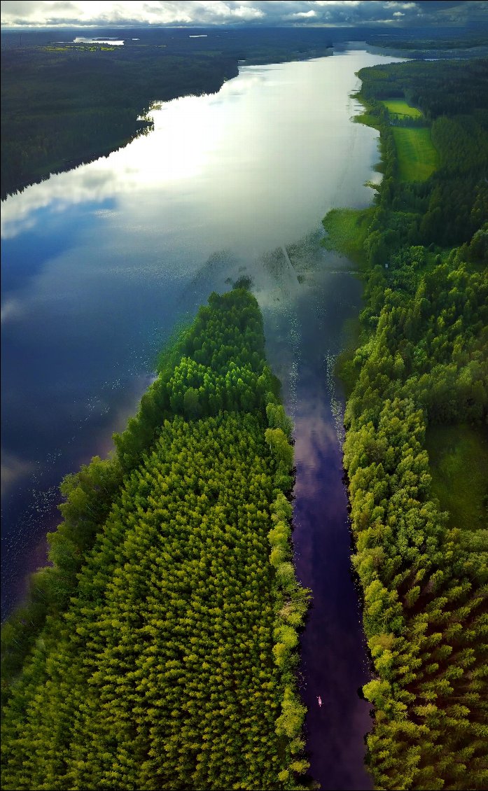 Entre ces rangées d'arbres ça suggère un peu d'oppression,