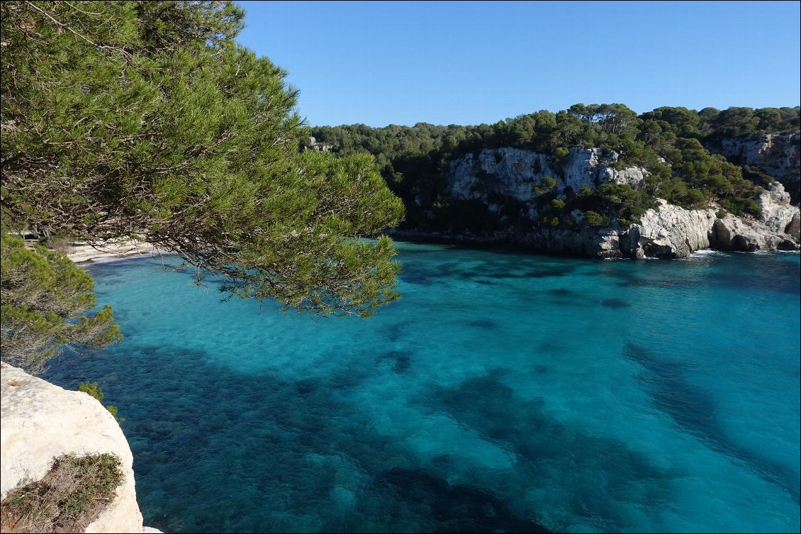 Un petite baignade ? L'eau est à 16°C ce début janvier