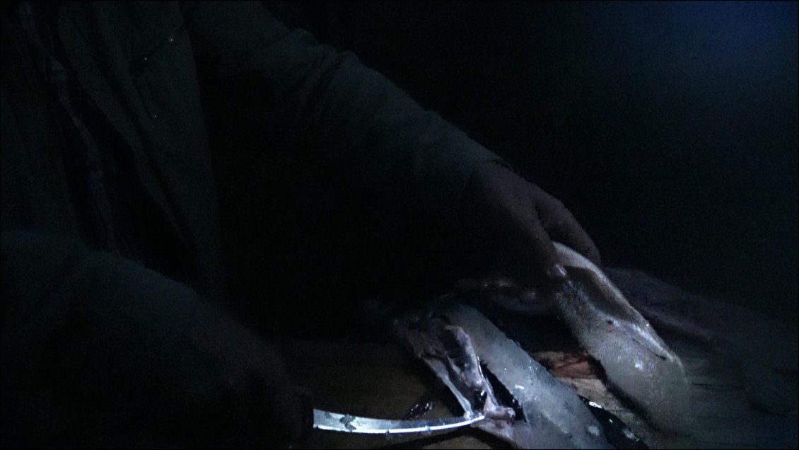Faire des filets de poissons c'est tout un art, et les nordiques aiment bien se mesurer entre eux dans la discipline !