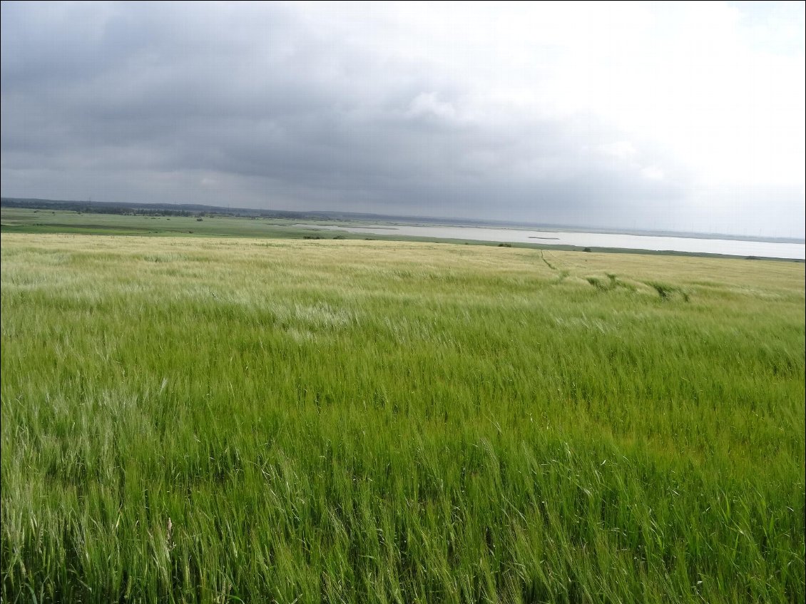 Collines et prairies verdoyantes à foison