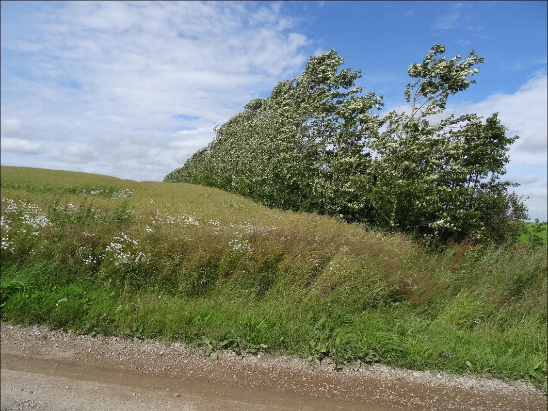 Ah ce vent. Une douleur pour les mollets dans les côtes sur sentier caillouteux.