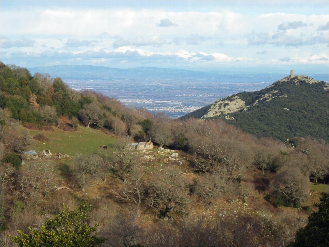 Vue sur la cabane (à gauche) et la tour de Massane