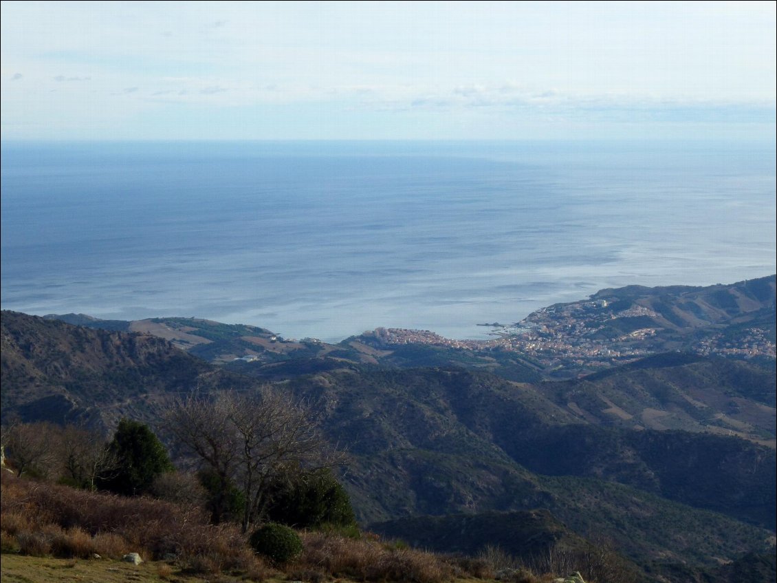 Descente sur la crête frontière (Banyuls)