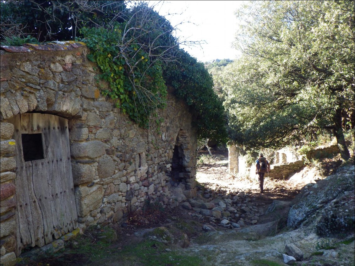 Les ruines de Mirapols