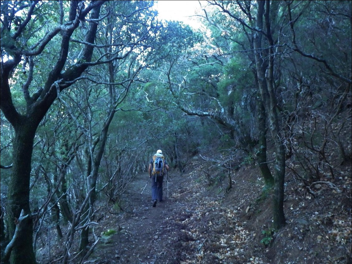 En direction de la crête frontière