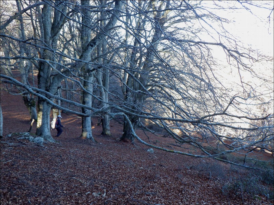 Début de la descente vers La Vall