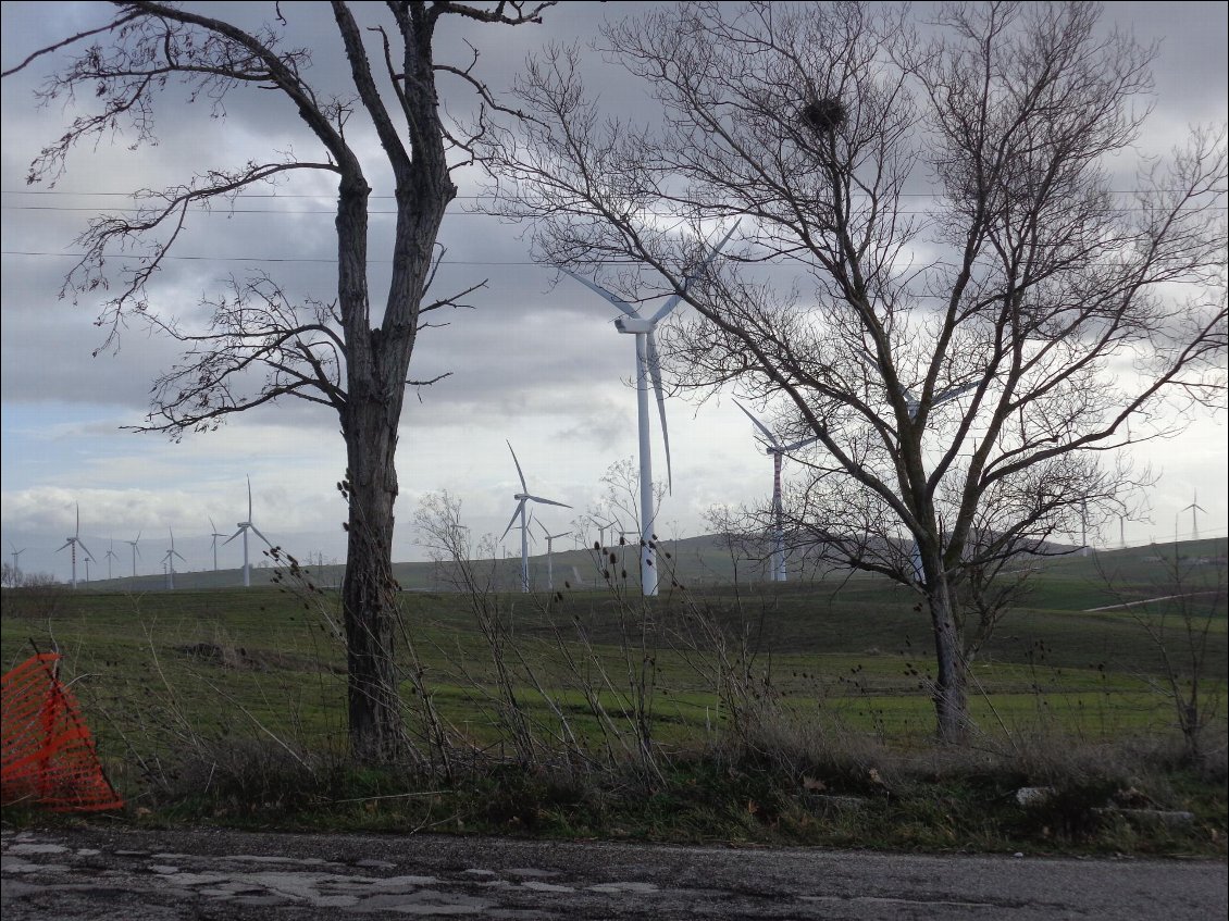 Au pays des éoliennes, sans  la pilote sur la photo